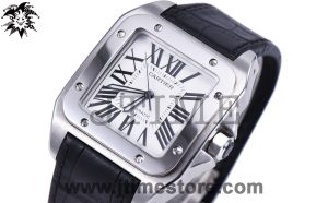 Santos 100 W20073X8 38mm